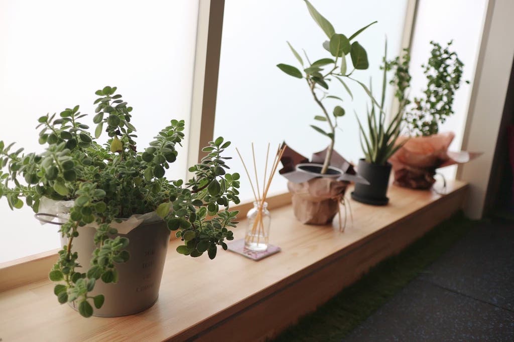 女性だけの空間。トレーニングスペース